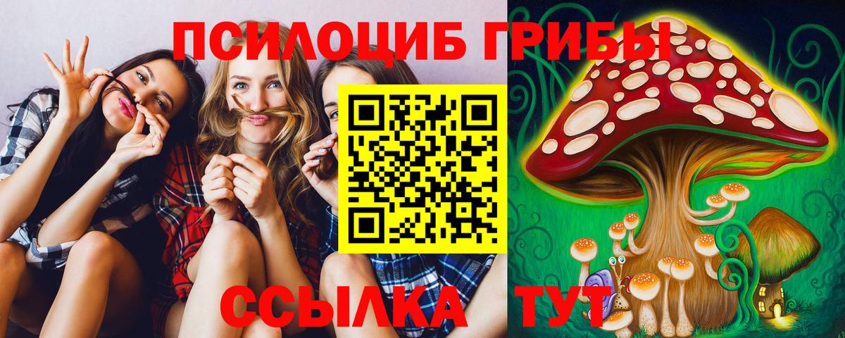 Галлюциногенные грибы Psilocybe Видное