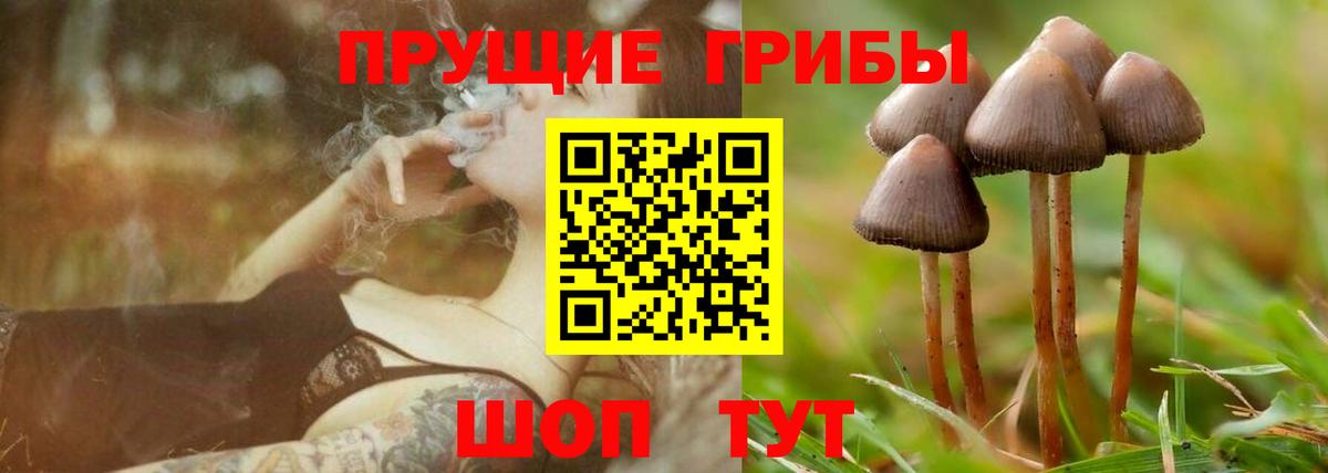 Псилоцибиновые грибы Cubensis  Вход с VPN  Видное  Псилоцибиновые грибы MAGIC MUSHROOMS 